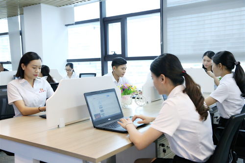 新公司注冊后，選擇代理記賬的三大好處與明智決策指南