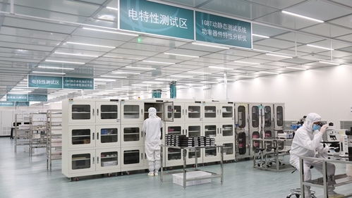 張家口的風(fēng)，點(diǎn)亮北京的燈——海歸青年在綠色能源浪潮中顯身手